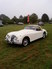 Jaguar XK 140