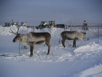 Protect your engine from the winter blues