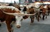 US big three get bullish over pick-ups