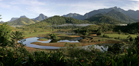 Bosal initiative helps protect the planet
