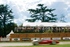 Intense pleasure at Festival of Speed and Revival