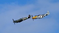 Rare pre-1966 aircraft scramble for 2008 Goodwood Revival
