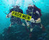 DVLA - Dive in and find a 09 treasure 