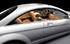Mercedes Benz CL Class