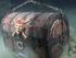 Volvo’s pirate Treasure Hunt sets sail again