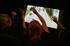 Volvo hits the big screen with interactive gaming