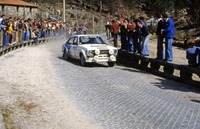 High-performing Fords at Goodwood Festival of Speed