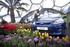 Ford's retail sales strong through April 2008 