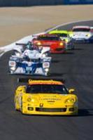 Corvette Racing and Team Cadillac season finales
