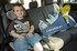 £350 million cost of crying over spilt milk…and other groceries