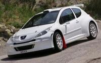 Peugeot 207 Super 2000 breaks cover