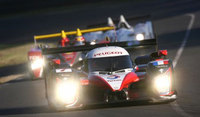 Peugeot: A Le Mans Series title to defend