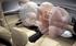 Lexus is 250 introduces worldâ€™s first dual-chamber airbag