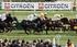 Citroen horse power drives the Grand National again