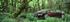 Plant yourself in Hondaâ€™s green seats