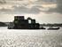 MINI sets sail for Motor Show