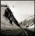 Photographers go ‘Wild’ in Land Rover-backed competition