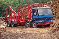 Grantley Sawmill’s 21 year old timber treasure Grantley Sawmill’s 21 year old timber treasure
