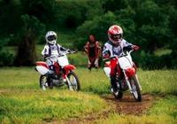 Have fun on minibikes this Christmas – but be safe!