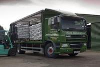 DAF automatic performs well when the chips are down!