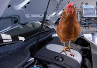 Car’s hengine problem easily cracked