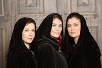 Three Widows, two decades, one celebration