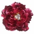 Corsages – Not just for prom queens