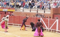 Fashion says ‘Balls to Bullfighting’