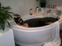The celebs favourite face mask