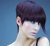Rae Palmer Salon Celebrates Colour Trophy Win