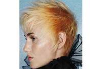 Autumn Hair Colour Festival At Karine Jackson