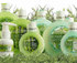 Hollywood hair products for a green Christmas! 