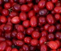 Christmas Superfood – Cranberries