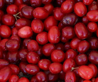 Cranberry Health Benefits Have Staying Power