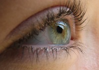 Green means go for the eyes