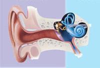 Is Hearing The Forgotten Sense?