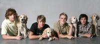 It’s Puppy Love For McFly!