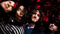 Red Hot Chili Peppers Exclusive Gig