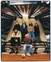 The Bees Release New Single & Tour Dates