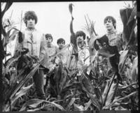 Procol Harum Procol Harum