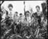 Procol Harum