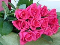Valentine's Day Isn't Always Roses!