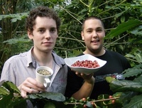 Fifteen Cornwall reaps Eden coffee bean harvest 
