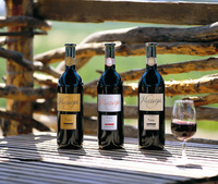 Harvey Nichols to host wine dinner with Lebanese Winery