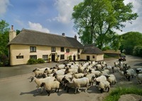 Michelin announces Pub of the Year 2010
