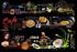Taste East Food Festival