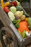 The Welsh Food Festival – A Taste Sensation