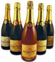 Beauty Winners Enjoy Champagne De L’Argentaine