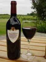 Hampshire Vineyard Wins International Medal