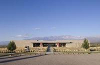 Discover wine, art and yourself in Argentina